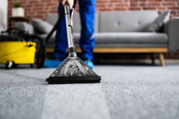 Residential Carpet Cleaning in Millsboro