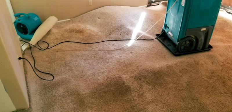 Carpet Restoration