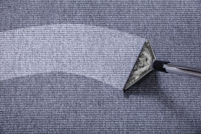 Freshly Cleaned Carpet